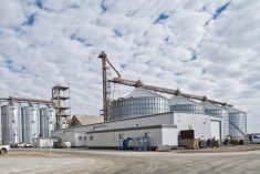 Louis Dreyfus’ oilseed processing plant at Yorkton, Sask. (LDC.com)