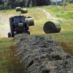 Hay yields up, prices still high