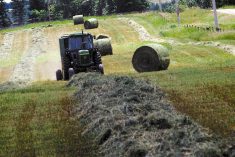 Hay yields up, prices still high