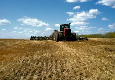 Stubble in crop rotations might surprise you