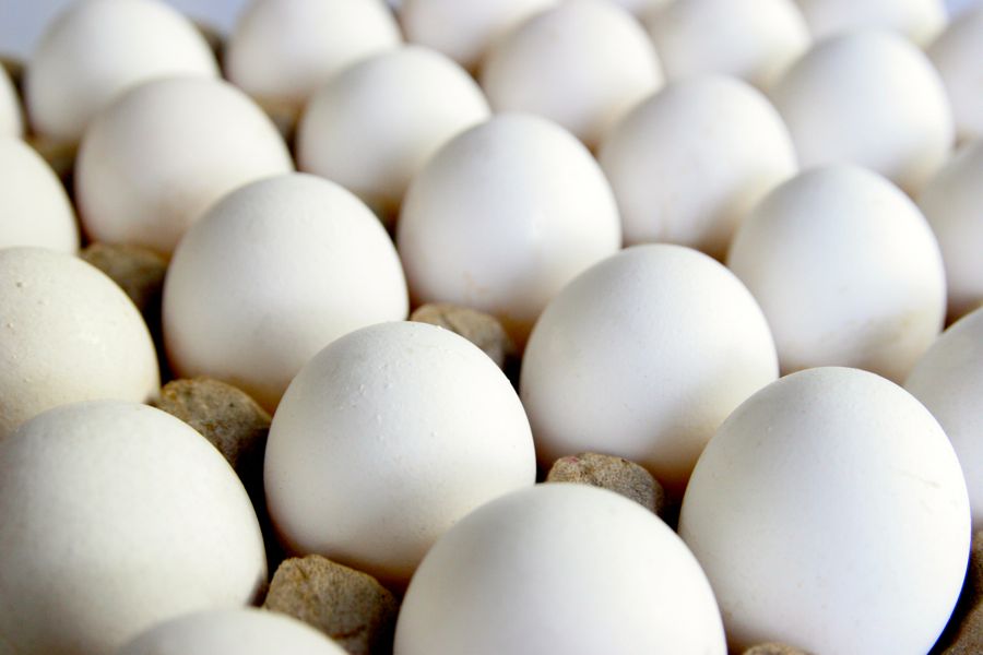 eggs