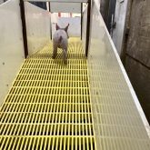 A weaning ramp is easier on piglets and on the workers who handle them.