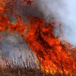 Grant aims to raise awareness of wildfire risk