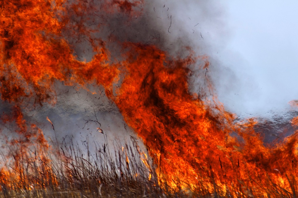 Grant aims to raise awareness of wildfire risk 