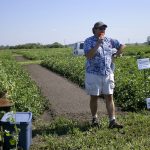 Nitrification inhibitors, legumes in rotations and variable rate are all effective, although for the latter you’ll need to invest in soil testing as well as yield and soil maps, says Mario Tenuta, one of the country’s top experts in 4R practices.