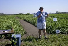 Nitrification inhibitors, legumes in rotations and variable rate are all effective, although for the latter you’ll need to invest in soil testing as well as yield and soil maps, says Mario Tenuta, one of the country’s top experts in 4R practices.