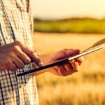 The online calculator can be used for spring wheat and feed barley.