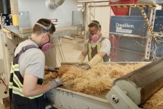 Hempalta makes a variety of products from hemp stalks at its Calgary processing facility, one of the few in North America.