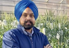 The effort to create hybrid wheat has been long and arduous, and the economics are still tenuous. But its introduction to the U.S. this year, albeit on a limited basis, bears watching, says Harwinder Sidhu, an AgCanada wheat breeder in Lethbridge.