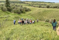 After three decades of riparian stewardship, the Hall’s Timber Ridge ranch is a showcase for what can be accomplished. The operation frequently plays host to workshops for producers.
