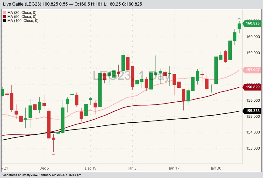 CME February 2023 live cattle with 20-, 50- and 100-day moving averages. (Barchart)
