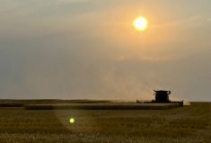 The harvest in mid-September made for a pretty picture but the results from a trial of two biostimulants on durum grown on Bishop Farms didn’t produce any yield or quality differences. Erek Bishop said he wants to conduct further trials.