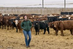 Both the pandemic and a shortage of veterinarians have driven increased use of telemedicine on livestock operations, 
says cattle producer and president of the Alberta Veterinary Medicine Association Dr. Natasha Kutryk.