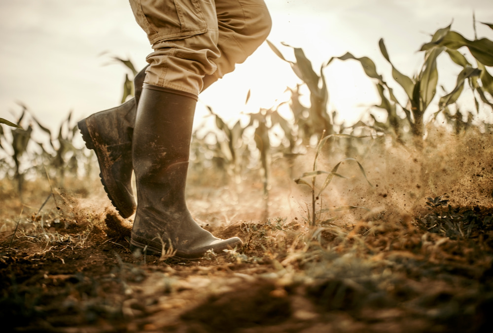 The shift in AFSC’s payment structure aims to put money into producers’ hands when they need it.