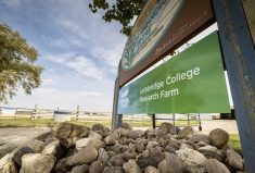 Lethbridge College gets $2-million for ag research facility