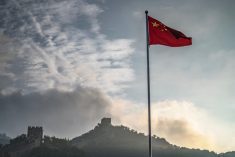 (Xinzheng/Getty Images)