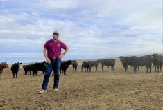 Dr. Tommy Ware became a fan of the Sandhills calving system after learning about it from one of its creators when he was at veterinary school at Mississippi State.