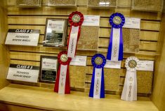 The North American Seed Fair is one of the oldest fairs of its kind in Western Canada, featuring many classes of seed in two main categories.
