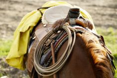 The element of surprise is hard to account for when it comes to performing farm tasks safely, as columnist Brenda Schoepp discovered while being in the saddle one day on her horse.