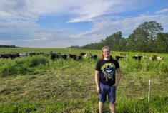 The century-old Groot farm hasn’t seen cows for a very long time. But an interest in regenerative ag — and a desire to try something new — prompted the family to push the boundaries on their Gibbons- area farm, says Michael Groot.