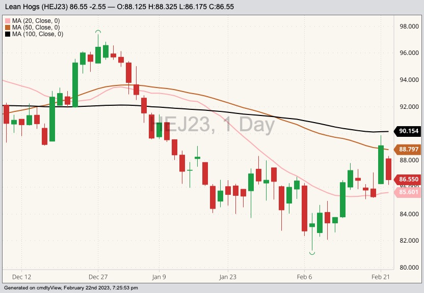 CME April 2023 lean hogs with 20-, 50- and 100-day moving averages. (Barchart)
