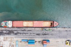 File photo of a docked grain vessel at a Black Sea port in Turkey. (Bfk92/E+/Getty Images)
