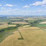 FCC estimates that nine to 15 per cent of farmland purchases are by businesses, investors or others who don’t intend to farm themselves.