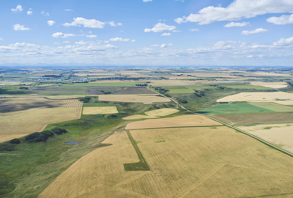 FCC estimates that nine to 15 per cent of farmland purchases are by businesses, investors or others who don’t intend to farm themselves.