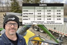 Shane Strydhorst fills his drill with seed for faba beans, which was his most profitable crop in two of the last four years. But the Alberta Pulse Growers chair concedes that pulse crops are an also-ran on many farms — something his farm group is fighting to change.