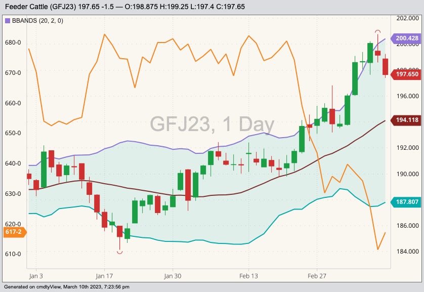 CME April 2023 feeder cattle (right column) with Bollinger bands (20,2) and CBOT May 2023 corn (orange line, left column). (Barchart)
