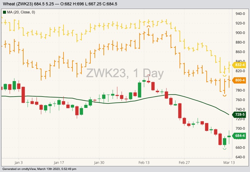 CBOT May 2023 soft red winter wheat with 20-day moving average, MGEX May 2023 hard red spring wheat (orange open/high/low/close) and K.C. May 2023 hard red winter wheat (orange O/H/L/C). (Barchart)
