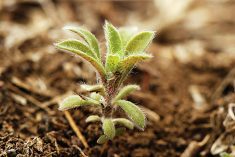 Agronomy update recap available