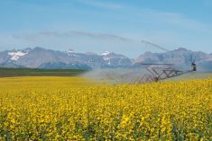 While Alberta's south saw a four per cent increase, its value of land for irrigation jumped by almost 30 per cent.