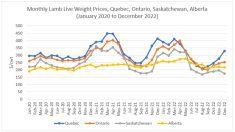 Alberta bucks trend in live lamb prices
