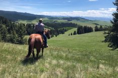 SALTS executive director Justin Thompson rides a conservation easement property in the Porcupine Hills of Alberta.