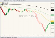 ICE July 2023 canola with 20-, 50- and 100-day moving averages. (Barchart)

