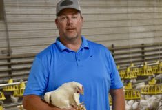 Hatching egg producer Jeff Notenbomer says that anything entering a barn, including workers, can carry the infection.
