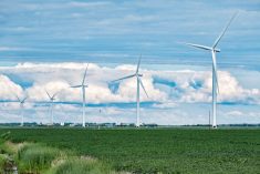 File photo of a field of soybeans under turbines at southern Manitoba&#8217;s St. Joseph wind farm. (Dougall_Photography/iStock/Getty Images)
