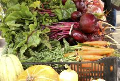 Regardless of farm size, there is an opportunity to connect authentically with those who buy our food and food products.