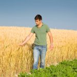 Alberta Wheat would have liked to see a greater focus on markets and the grain business in the federal government’s new Sustainable Canadian Agricultural Partnership.