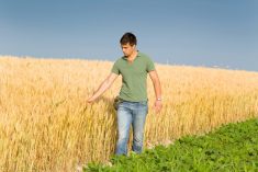 Alberta Wheat would have liked to see a greater focus on markets and the grain business in the federal government’s new Sustainable Canadian Agricultural Partnership.