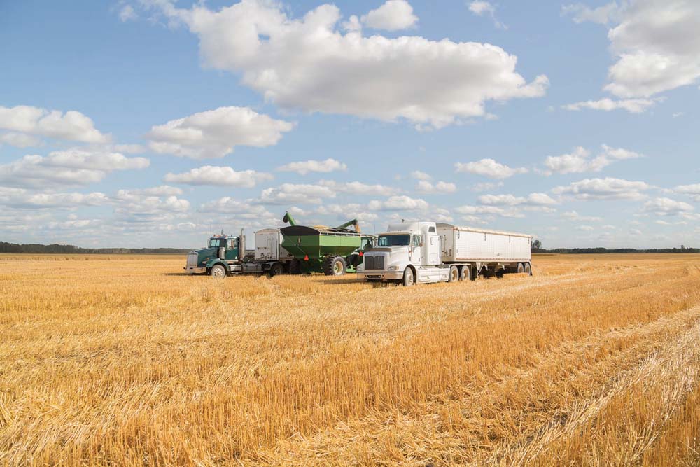 Provincial officials have calculated numbers for every major soil zone. But be forewarned — the cost of inputs is frighteningly high.