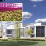 As this rendering of GoodLeaf Farms’ new Montreal facility shows, there’s little to distinguish an indoor farm from its industrial park neighbours. The one is southeast Calgary will be similar. But GoodLeaf says the operation will produce nearly two millions pounds of microgreens and baby greens annually.