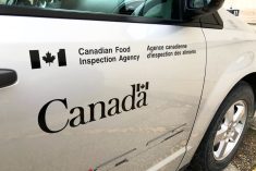 File photo of a CFIA vehicle. (Dave Bedard photo)
