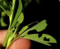 Find out what will be bugging you in 2023