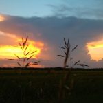 Agriculture Canada looks to crowdsource weather