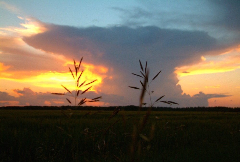 Agriculture Canada looks to crowdsource weather