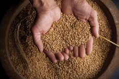"All farmers need to know if
their seed was developed using
gene editing or not so they can
pass that information along.”