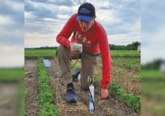 Callum Morrison
takes moisture
readings in a
soybean crop
that’s part of a
long-term cover
cropping field
trial in Carman.