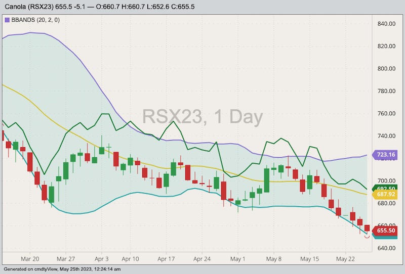 ICE November 2023 canola with Bollinger bands (20,2) and July 2023 canola (green line). (Barchart)
